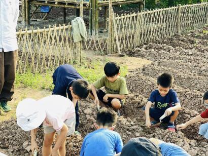 Bambusa Steiner Inspired, Werken in de BD moestuin