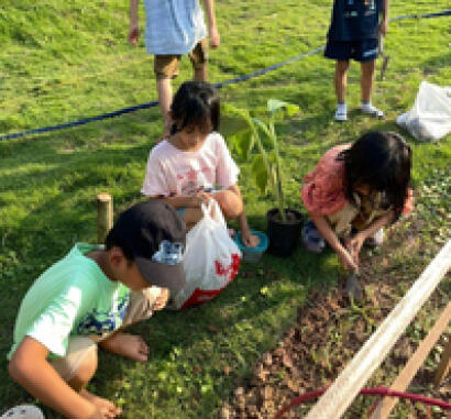 waldorf one world project in vietnam tuinbouw