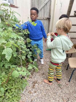 Starseed Community School, in de schooltuin